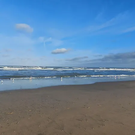 Rembrandts View Zandvoort