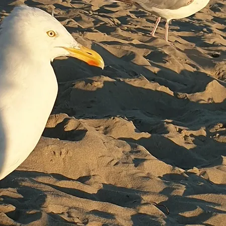 Penzion Rembrandts View