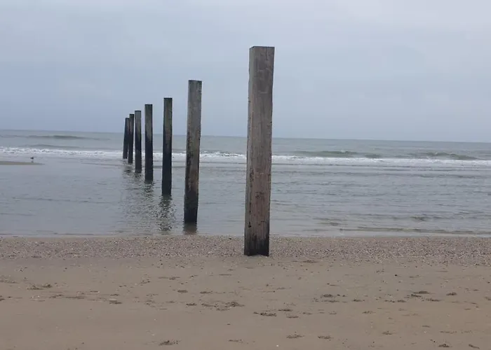 Rembrandts View 4* Zandvoort